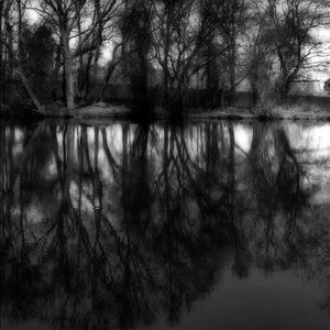 Meet your Posher, Lindsay